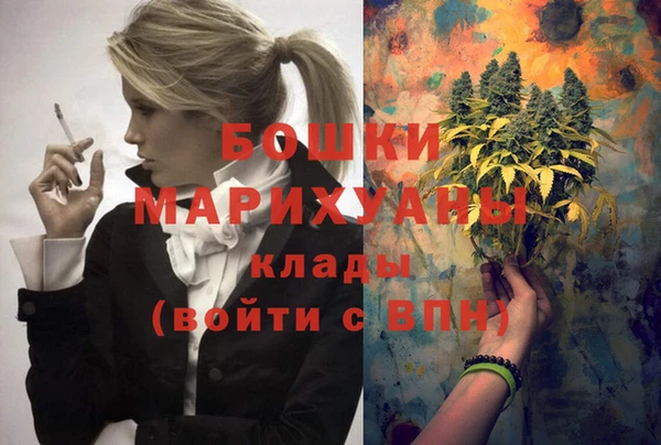 сатива Богородицк