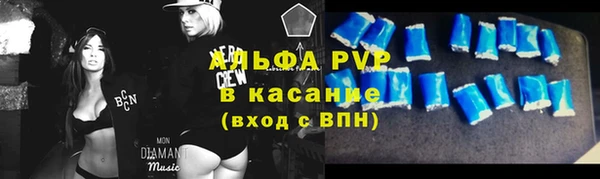 сатива Богородицк