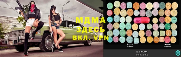 сатива Богородицк